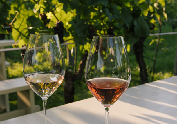     Weingläser mit Rosé und Weißwein 